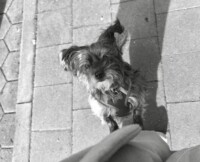 Nelly